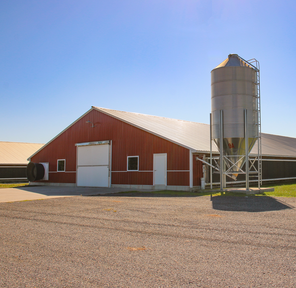 Poultry Growers Farm